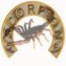 scorpion56