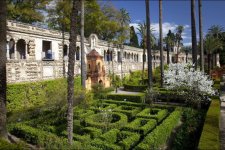 L-un-des-jardins-de-l-Alcazar-de-Seville.jpg