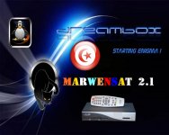 logomarwensat21.jpg