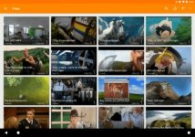 vlc-android-2-5.jpg