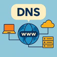 dns